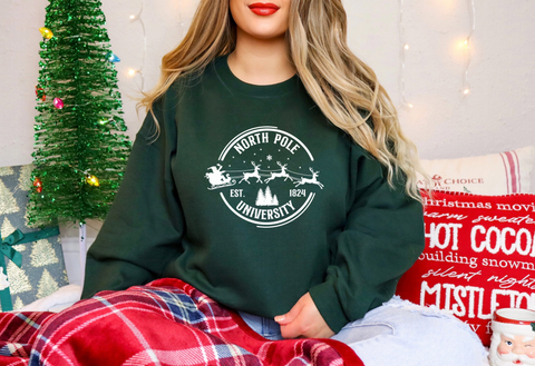 North Pole University Unisex Fit, Fun Christmas Sweatshirt/Jumper, Green, Red or Pink